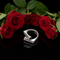 Art Deco Modern Luxe Adjustable Silver Ring | Stainless Steel | Sizes 5–9 | Tarnish-Resistant | Includes Polishing Cloth